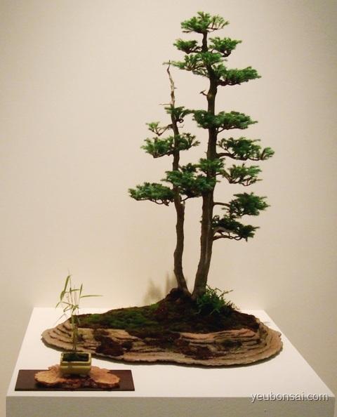 Bonsai, cây cảnh nghệ thuật, cay canh nghe thuat, cây thế, cay the, triển lãm cây cảnh nghệ thuật, trien lam cay canh nghe thuat